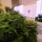 Moss garden edge along the printed roji pathway, Tatcha pop-up at Grand Central