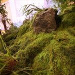 Sculpted rock and moss detail in the Tatcha Grand Central garden