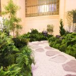 Roji pathway winding through the sculpted moss garden, Tatcha Breathtaking Skin pop-up