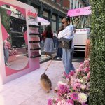 eos product wall with live pink florals and hedge wall built by NVS